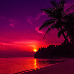 Meet your Posher, Madeleine